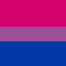 pride\_bi hires